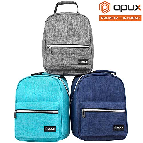 Insulated Lunch Box for Kids and Adults