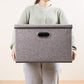 Large Foldable Storage Bin with Lid [1