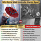 Compact Travel Umbrella for Rain
