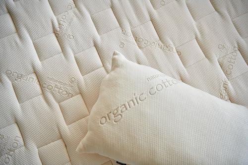 Organic Latex Pillow