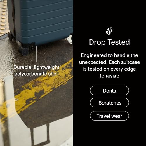 Large Checked Luggage
