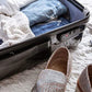 Winfield 2 Hardside Luggage with Spinner Wheels