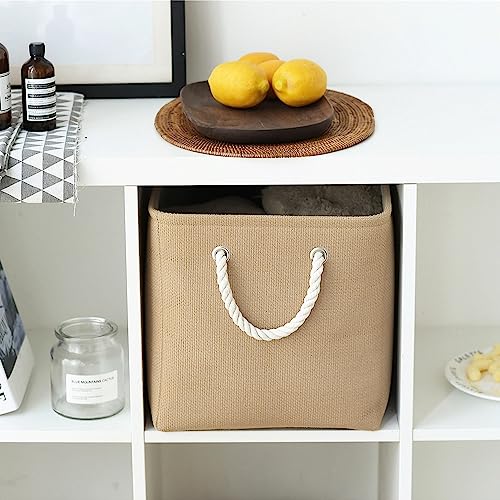 Organization and Storage Basket for Organizing (3 Count)
