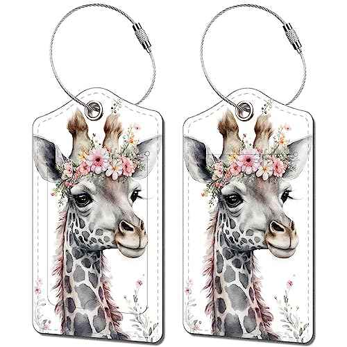 2 Pack Luggage Tag for Suitcase (9.99 Count)