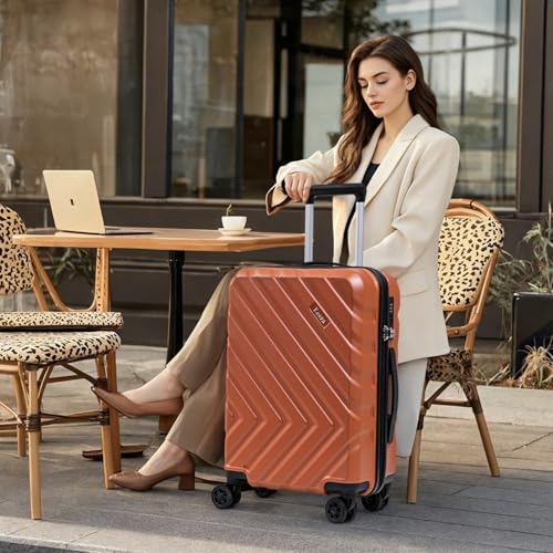 Carry On Luggage (3 Count)