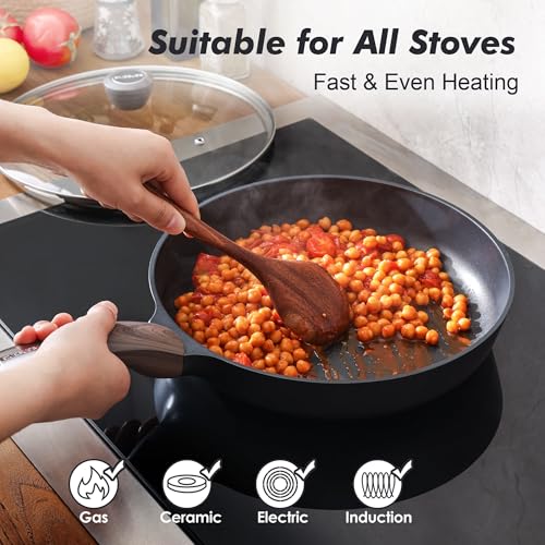 9.5inch Nonstick Frying Pan Paella Pan with Lid