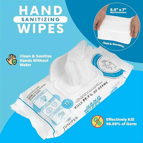 24 Pack Hand Sanitizing Wipes (1728 Count)