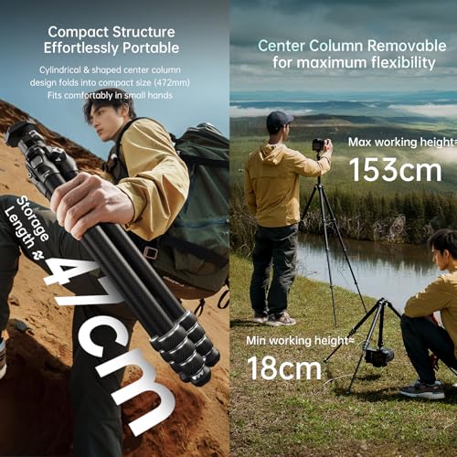 FALCAM TreeRoot F38 Quick Lock Lite Carbon Fiber Tripod with Ball Head