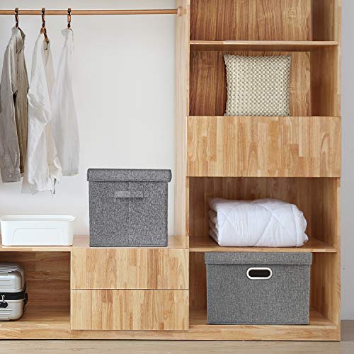 Large Collapsible Storage Bins with Lids (2 Count)