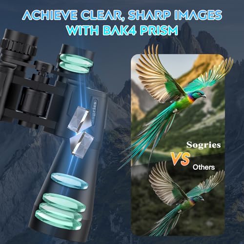 20x60 Binoculars for Adults High Powered