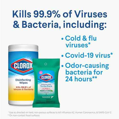Disinfecting Wipes On The Go Travel Wipes (216 Count)