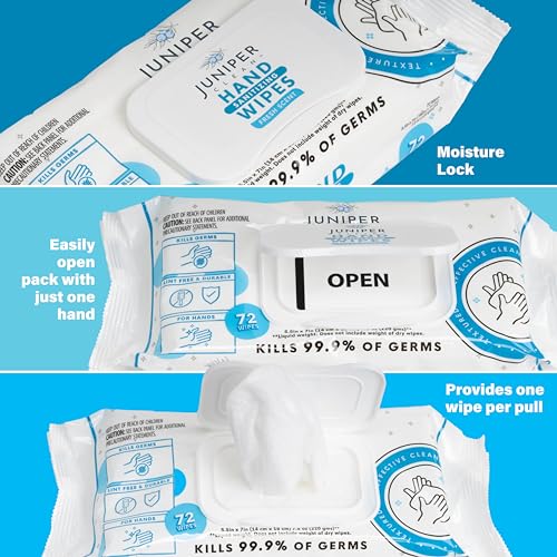 Hand Sanitizing Wipes (432 Count)