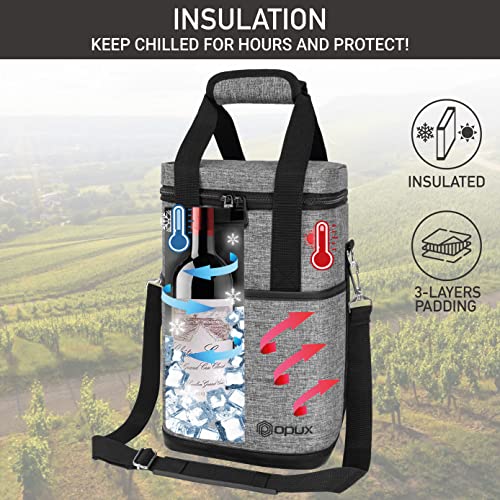 Insulated Wine Cooler Bag