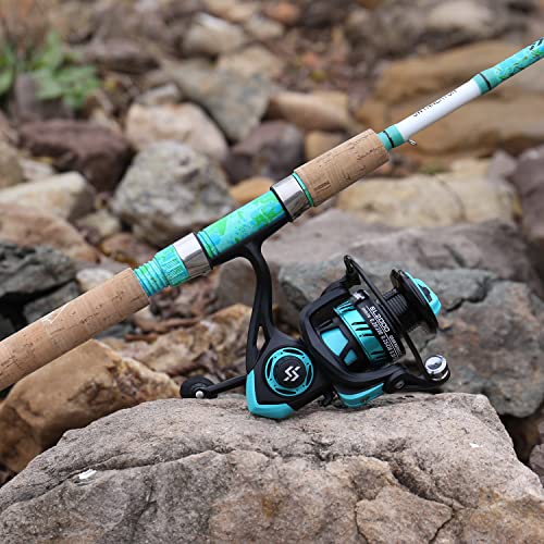 Fishing Rod and Reel Combo