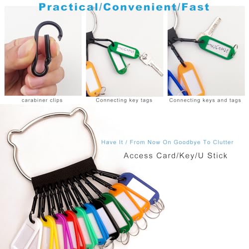 Portable Key Organizer Manager with Enlarged Window for Writing and Displaying More Text (30 Count)