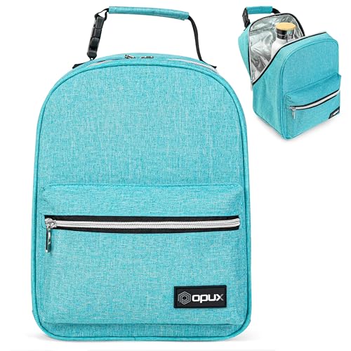 Insulated Lunch Box for Kids and Adults