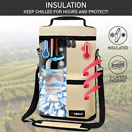 Insulated 2 Bottle Wine Bag Tote Leakproof Carrier Cooler Gift