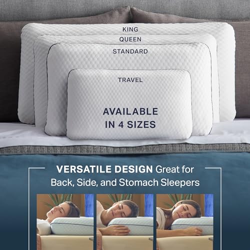 Gel Memory Foam Pillow (2 Count)