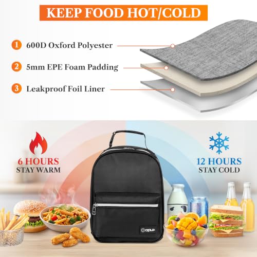 Insulated Lunch Box for Kids and Adults