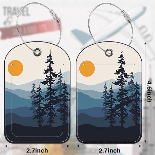 2 Pack Luggage Tags for Suitcases Travel Bag with Name Label Stainless Loop