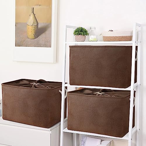 Organization and Storage for Organizing (3 Count)