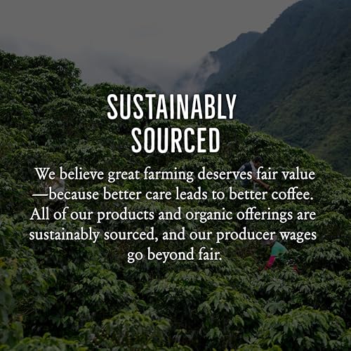 Organic Mayan Whole Bean Coffee (12 Ounce)