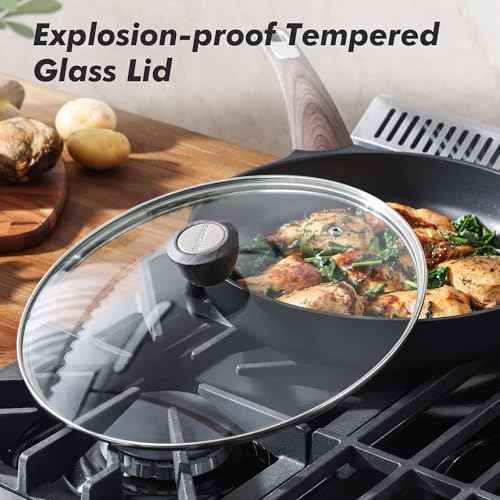 11inch Nonstick Frying Pan Paella Pan with Lid