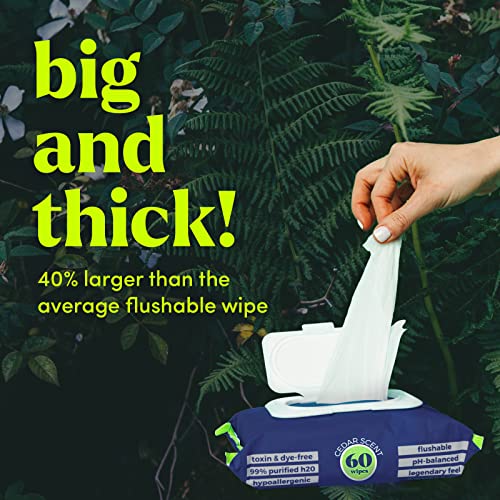 Flushable Wipes (48 Count)