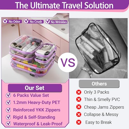 Clear Hard Shell Zipper Cases (6 Count)