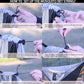 Camping Hammock