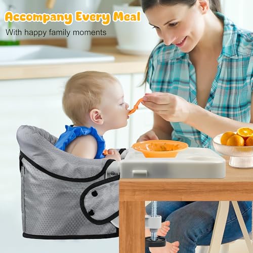 Hook On High Chair with Tray