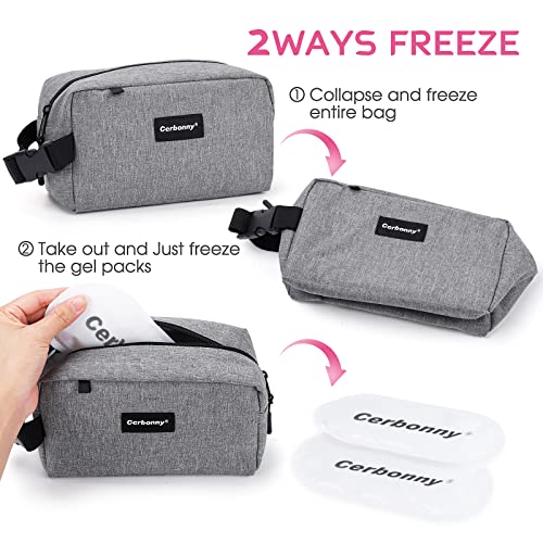 Small Cooler Bag