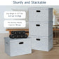 Storage Bins with Lids Fabric Closet Organizers Cubes Office Organization (3 Count)