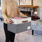 Large Storage Bins with Lids (3 Count)