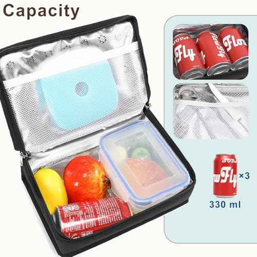 Small Insulated Lunch box Portable Soft Bag Mini Cooler Thermal Meal Tote Kit with Handle for Work