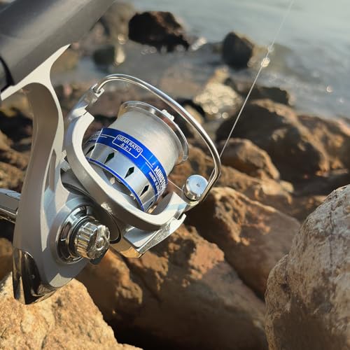 Fishing Pole Combo Set (4 Count)