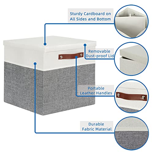 Cube Storage Bins with Lids for Organizing Clothes (2 Count)