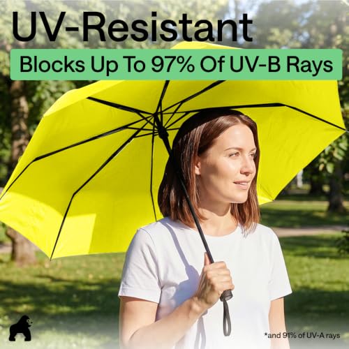 Compact Travel Size Umbrella for Rain