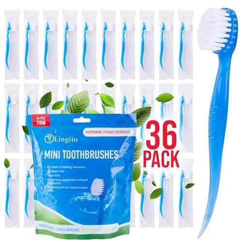 Bulk 36 Pack Mini Toothbrush Set (36 Count)