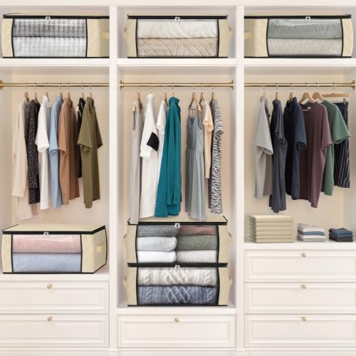 35L Closet Organizers (4 Count)