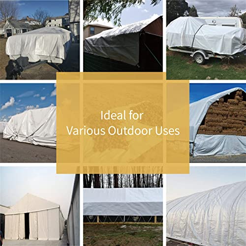 Tarp White 10x12 Feet Multi Purpose Waterproof Poly Tarp Cover 5mil (120 Sq Ft)