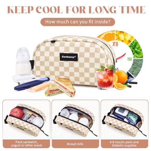 Small Cooler Bag