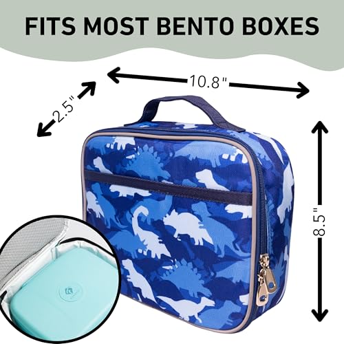 Dinosaur Lunch Box for Boys
