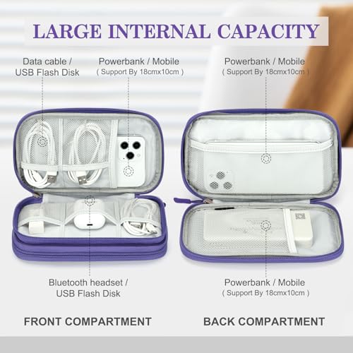 Electronic Organizer