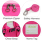 Kids Insulated Toddler Backpack with Leash Safety Harness Lunch Bag
