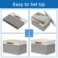 Collapsible Storage Bins Storage Boxes with lid (2 Count)