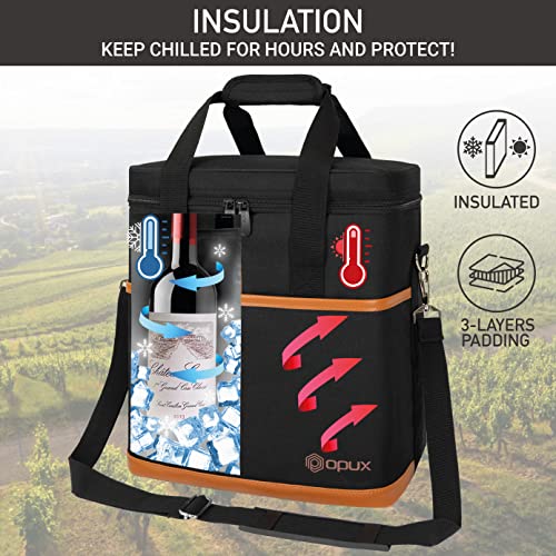 Insulated Wine Cooler Bag