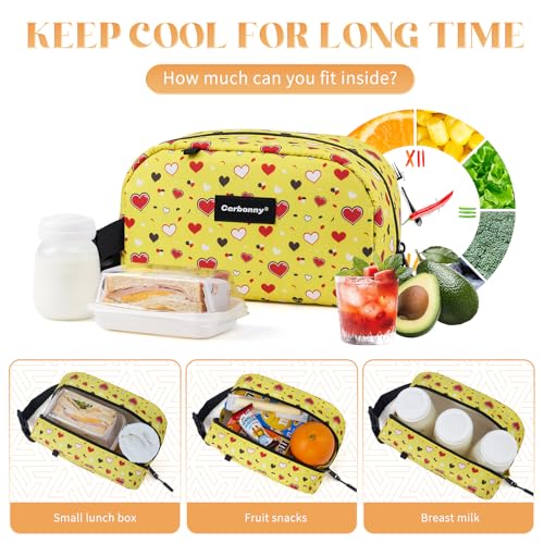 Small Cooler Bag
