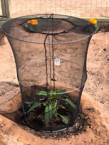 Mosquito Head Net for Insect (2 Count)
