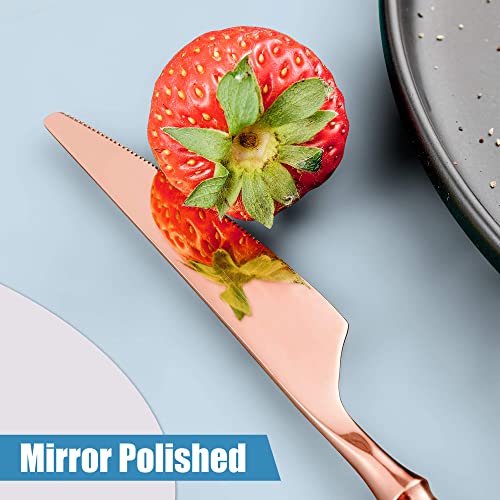 20 Piece Rose Gold Silverware Set for 4 (20 Count)